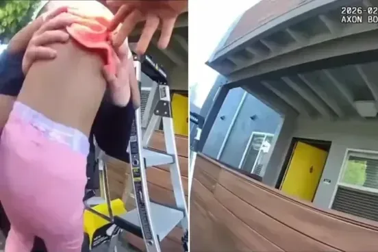 Cảnh sát California bắt gọn bé gái và chó được thả từ ban công giữa biển lửa