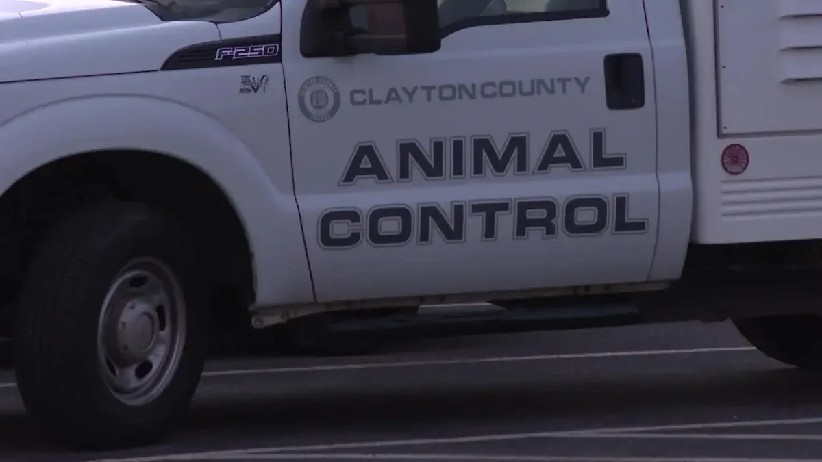 Chó Bị Tiêu Hủy Để Xét Nghiệm Bệnh Dại Sau Khi Tấn Công 2 Người Tại Clayton County