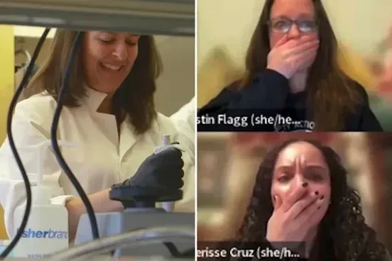 Giáo sư Hunter College bị đình chỉ công tác sau phát ngôn gây phẫn nộ trong cuộc họp trực tuyến