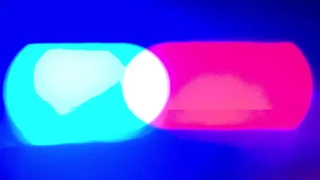 Nghi phạm tái phạm đối mặt án tù chung thân sau vụ thu giữ ma túy trị giá hơn 100.000 USD trên xa lộ I-85